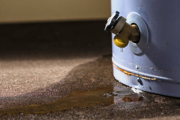 Best Flood restoration services  in West Plains, MO