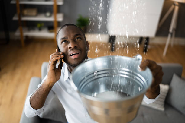 Best Water damage cleanup near me  in West Plains, MO