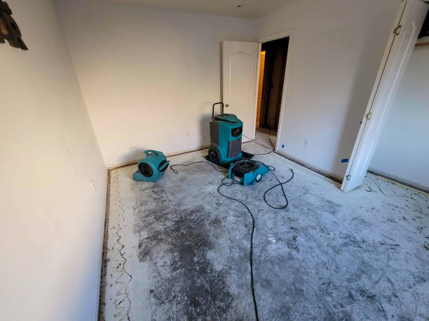 Best 24/7 water damage repair  in West Plains, MO