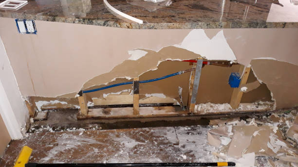 Best Water damage cleanup near me  in West Plains, MO