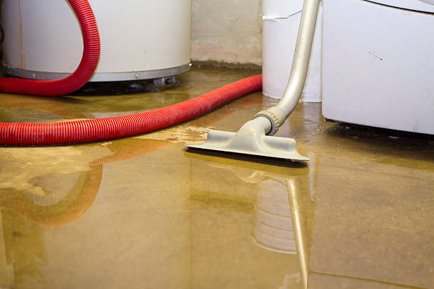 Best Sewage cleanup and water damage restoration  in West Plains, MO