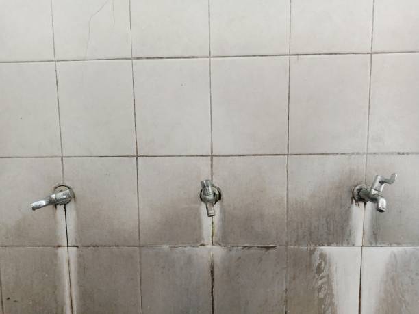 Reliable West Plains, MO Water damage restoration Solutions