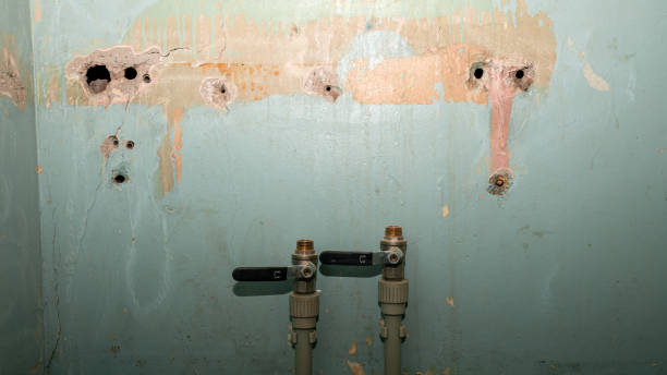Water damage restoration experts in West Plains, MO