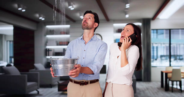 Best Flooded house restoration  in West Plains, MO